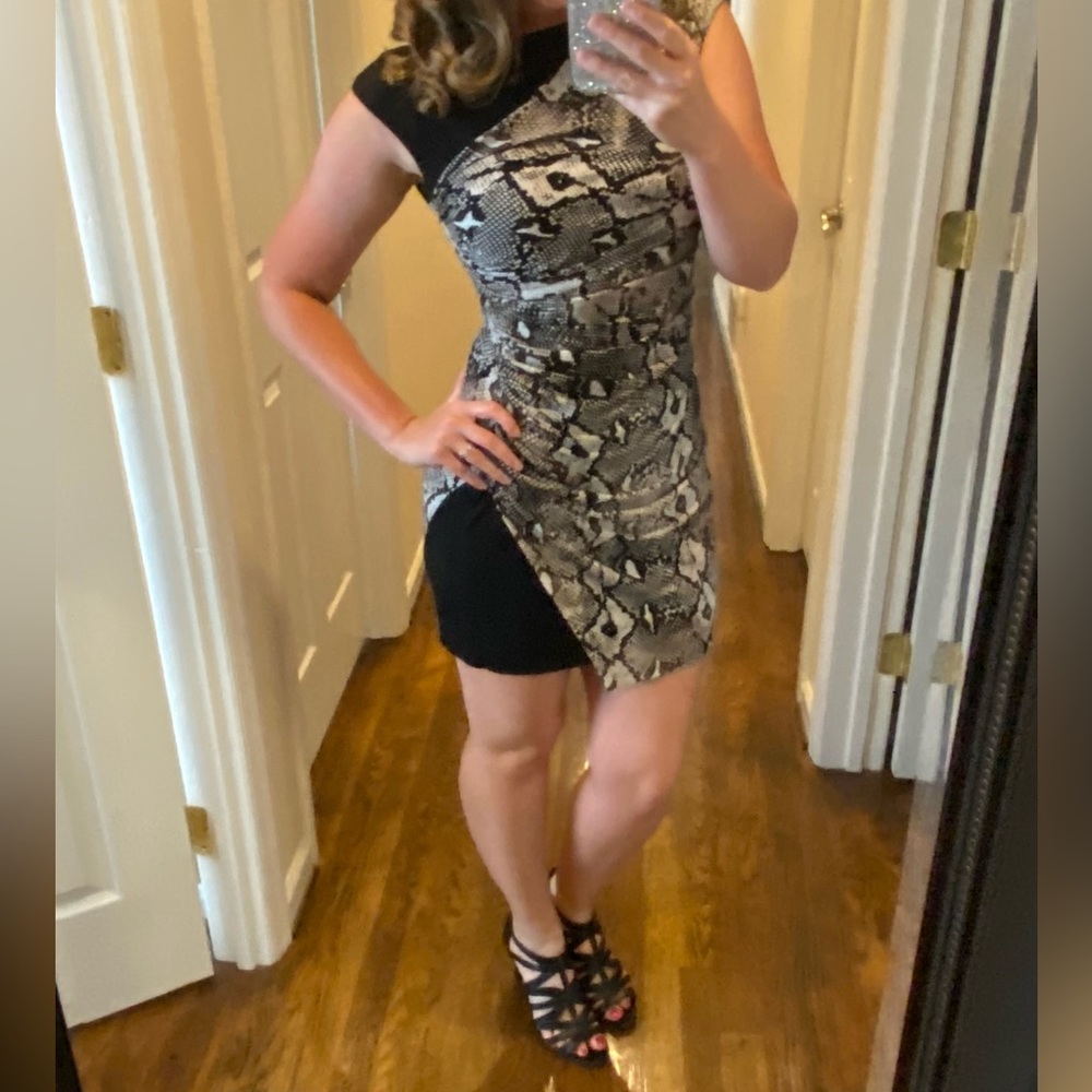Boston Proper Size 2 XS Small Snakeskin and Black Sexy Cocktail Dress
